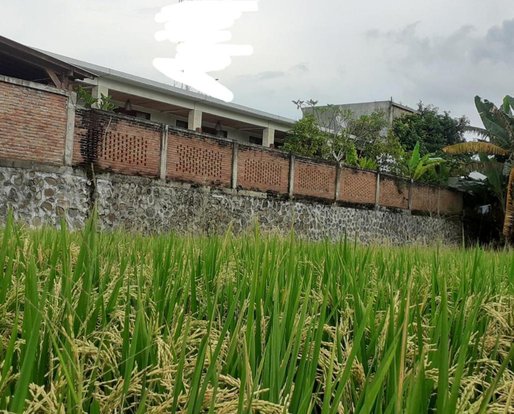 Surya Lombok Accommodation Selong Belanak Exteriör bild