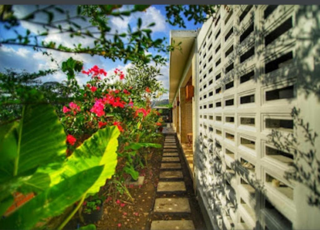 Surya Lombok Accommodation Selong Belanak Exteriör bild